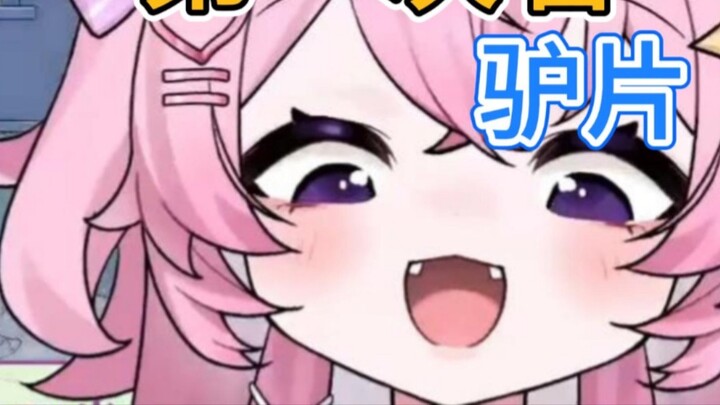 “Mười năm nay không ai nghe tôi hát, nhưng một khi con lừa được nghe, cả thế giới sẽ biết đến”.