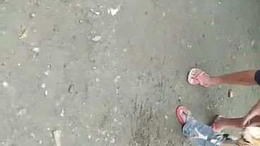 bossDbackyard