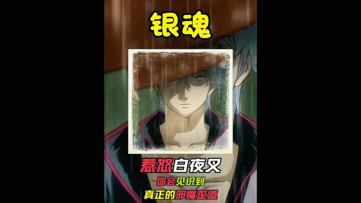 Mendekati siapa pun boleh, tapi jangan sampai mengusik Byakko! #Gintama #ReviewAnime