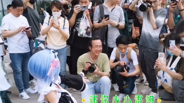 我看看是谁能不喜欢这个迷你的小雷姆