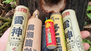 鞭炮炸树桩