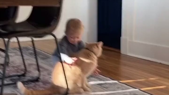 พวกมันจะสอนให้เรารู้จักรัก และอยู่เคียงข้างเราขณะที่ค่อยๆ เติบโต