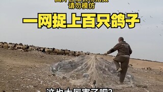 伊拉克人这样捉鸽子