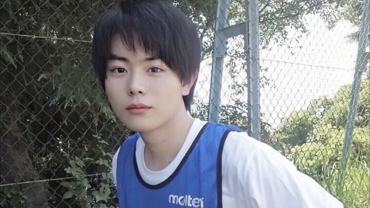 【菅田将暉】你还是昔日多情的少年