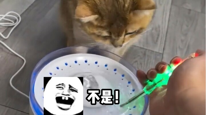 ท่าเขย่าหัวนี่เพื่อปลดปล่อยไฟฟ้าใช่ไหม?