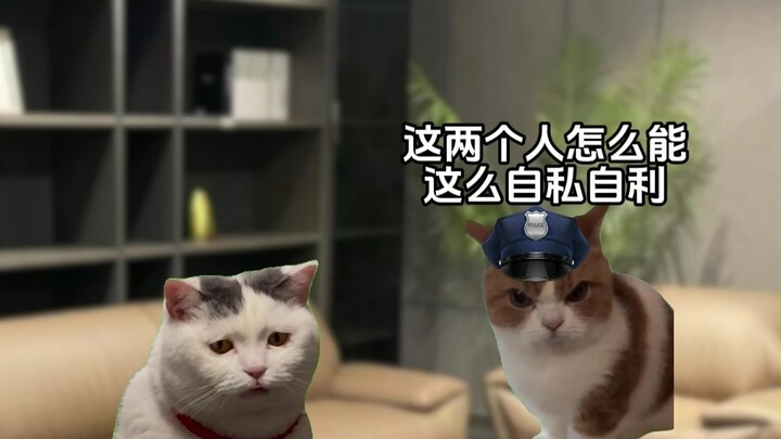 ดูดวงไปพลาง ไขคดีไปด้วย? 10