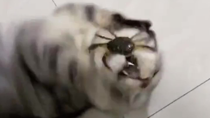 This cover art is way too abstract!