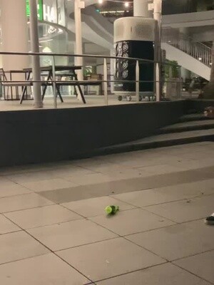 Ninjas fighting