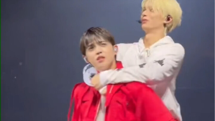 【SEVENTEEN】Different Ways to Raise Cats Among the '95 Line'