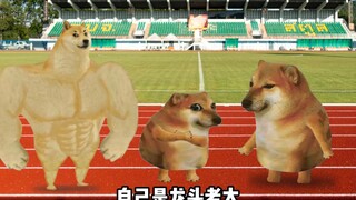 初中时的迷惑行为