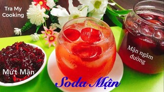 Mận Ngâm Đường - Mứt Mận - Cách pha Soda Mận mát lạnh, thơm ngon, màu đẹp 😋  | Tra My Cooking