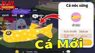 Hé Lộ Full Tất Cả Cá Mới Sẽ Xuất Hiện Trong Play Together, Test Trang Phục Cá Đèn Lòng FREE