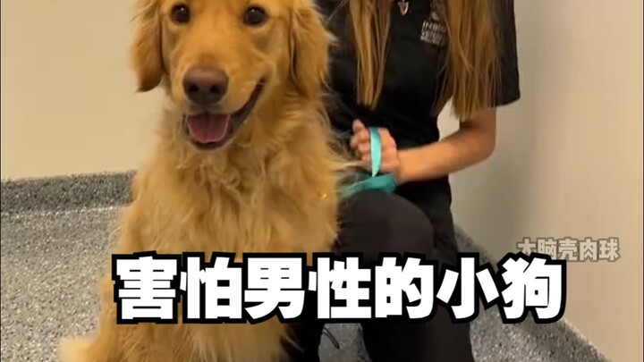 Ketika dokter hewan laki-laki bertemu anak anjing yang takut pada laki-laki, dia seharusnya berkata:
