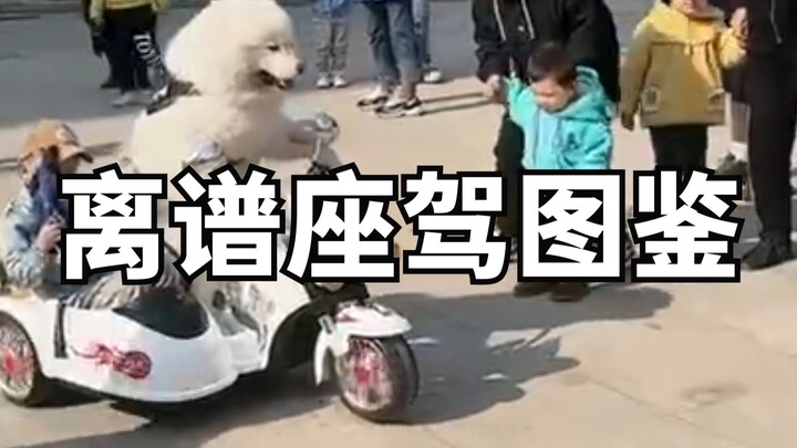 离谱座驾图鉴