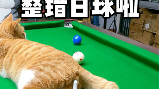 Haha, which ball is it?