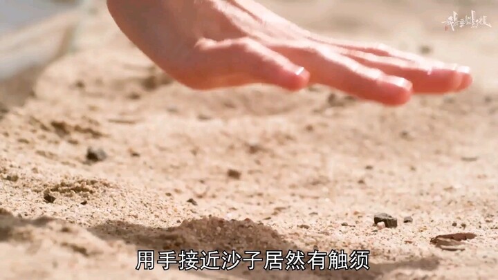 Những người trẻ đi nghỉ mát ở biển, nào ngờ đó lại là một bãi cát sống, chuyên ăn sinh vật còn sống;