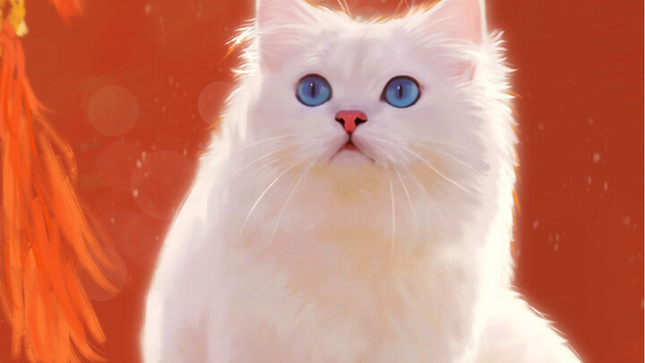 How to Keep a Illustrator Afloat for a Month on 200 Yuan