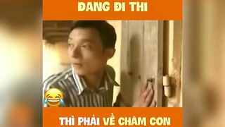 Đang đi thi thì phải về chăm con