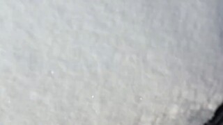 车主回来懵了吧哈哈