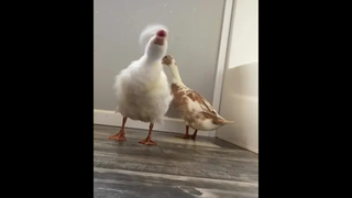 อุตส่าห์ทิ้งกันไปทั้งที หาใหม่ได้แค่นี้เหรอ