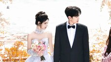 Tình Nồng Trong Mắt Tập 11