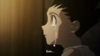 Hunter x Hunter AMV - Lovely (Gon vs Pitou)