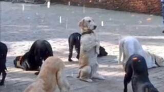 بروس، كنت أعلم أنك قادر على القيام بذلك.