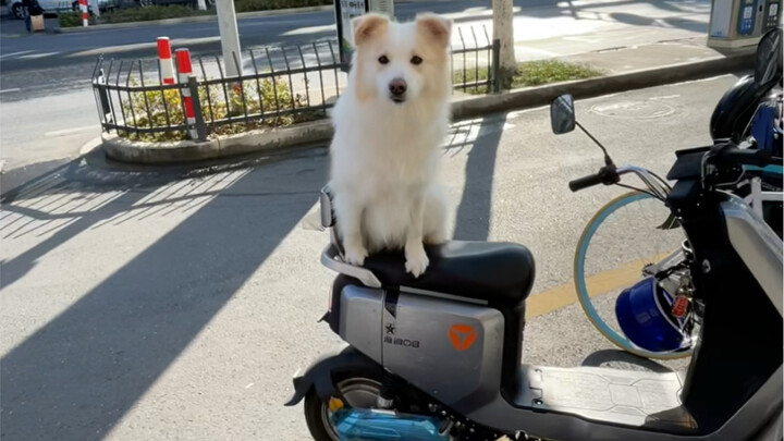 Yesterday, I asked Momo to bring half a cake over to Kele’s place to share. When Momo came back, she