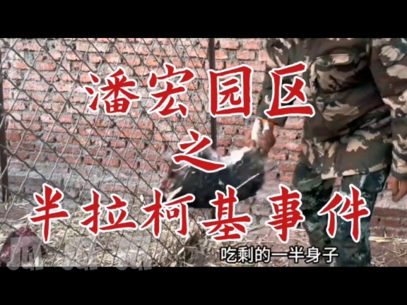 潘宏园区之半拉柯基事件