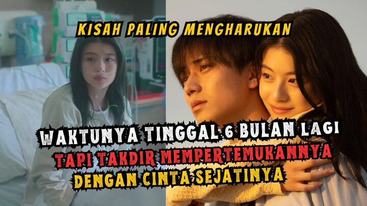Cinta yang Datang di Waktu yang Salah — Alur Cerita Drawing Closer
