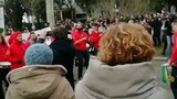 sardines dancing in Bologna