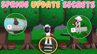 NEW BLOXBURG SPRING UPDATE SECRETS You Didn't Know!