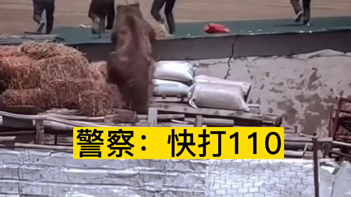 Cảnh sát: Nhanh gọi 110