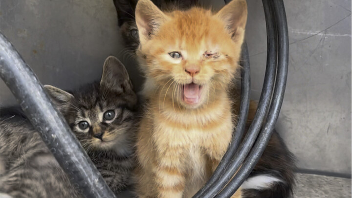 Trong những ngày bình dị thường nhật, lúc nào cũng có những sự dịu dàng bất ngờ ghé thăm.