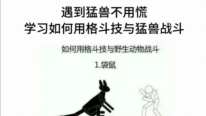 How a lone individual can use martial arts to kill a brown bear and a hippopotamus in the wild
