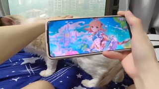 【Nozi】Bisakah kamu memainkan Princess Connect tanpa melihatnya? Selalu ada lebih banyak solusi darip