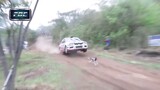 Mitsubishi Lancer Evolution jumps over dog