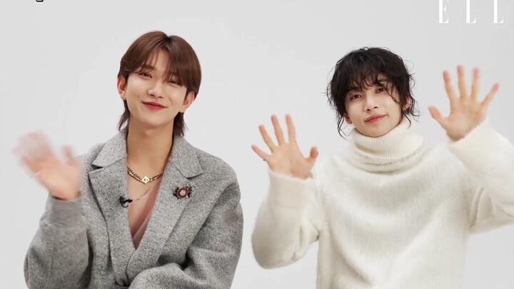 【SEVENTEEN JEONGHAN & JOSHUA】Mengenalkan Anggota dan Antusiasme untuk Tur Jepang dengan Emoji | AS E