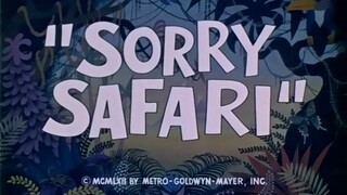 Sorry Safari