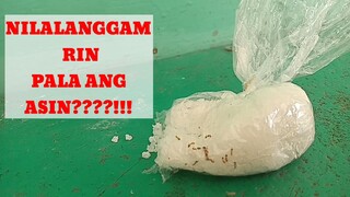 LANGGAM NA KUMAKAIN NG ASIN!!