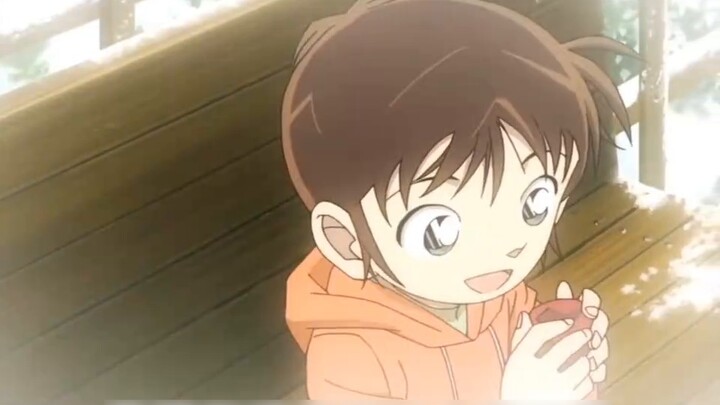 "We all enjoyed this wonderful process, and it will remain in our memories for the rest of our lives