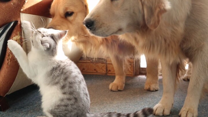 Don’t go yet—we’re not done watching!