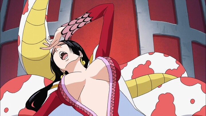 Hammock dikatain bodoh sama Luffy 🤭