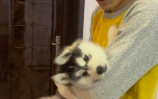 Maybe this is why people don’t want to separate their “love dad.”