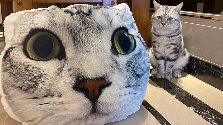 Bantal lucu ala Chen TD, bikin aku ngakak banget hahahaha～