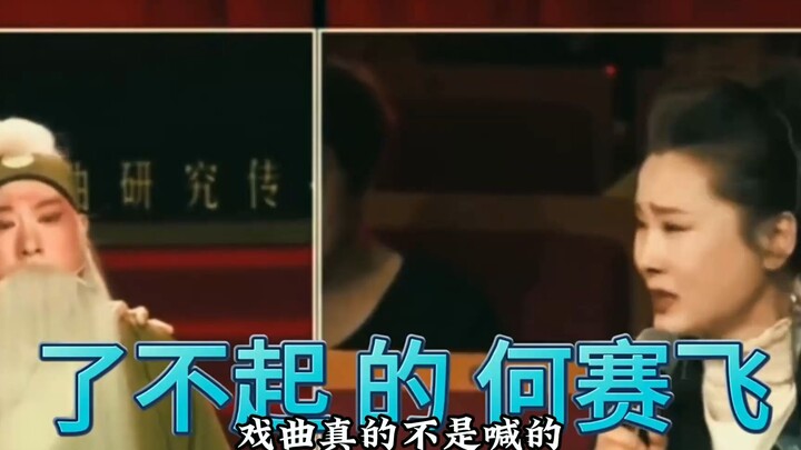 National Cultural Treasure: He Saifei Slams the Chaos in the Quyi World, While Chen Lijun Single-Han