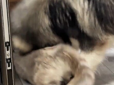 Since that day, I haven't seen Mimi getting bullied again.