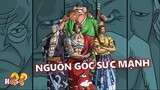 Hé lộ nguồn gốc sức mạnh kinh khủng của băng Tóc Đỏ