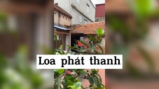 Loa phát thanh