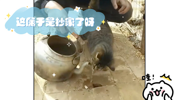 Đây đúng là tịch thu tài sản rồi mà